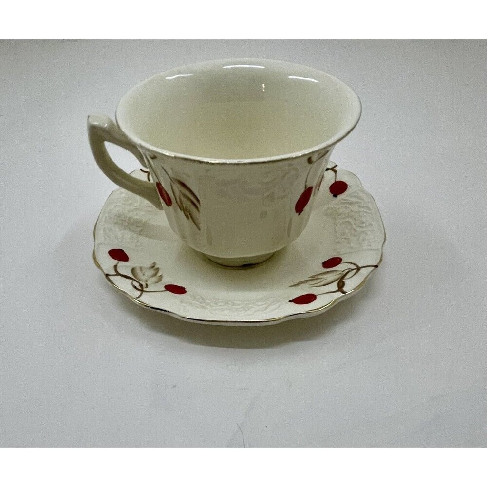 Myott Cherry Ripe Bone China Teacup & Saucer England Rose Floral Classic